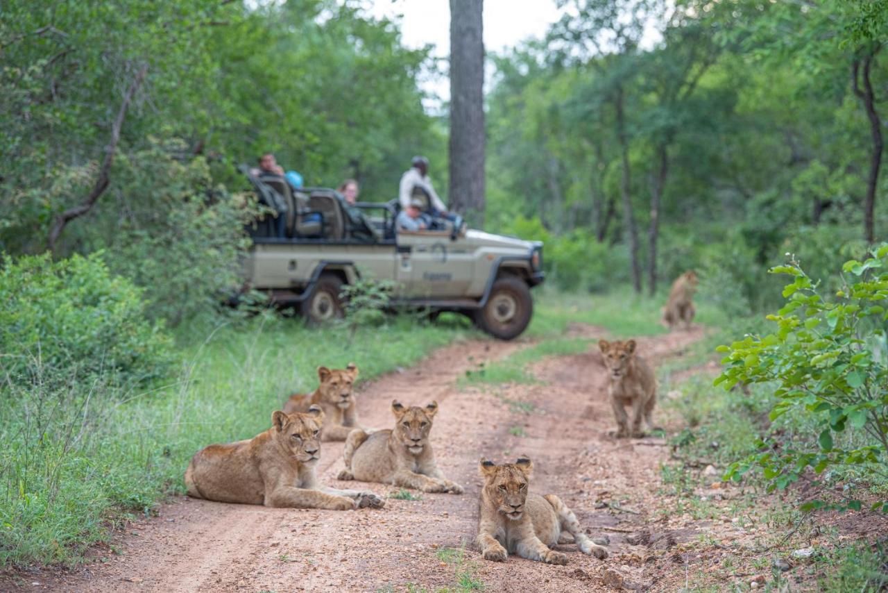 Kapama Southern Camp Kapama Game Reserve Exteriör bild