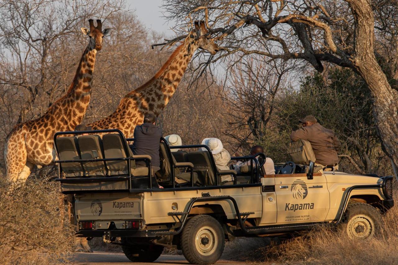 Kapama Southern Camp Kapama Game Reserve Exteriör bild
