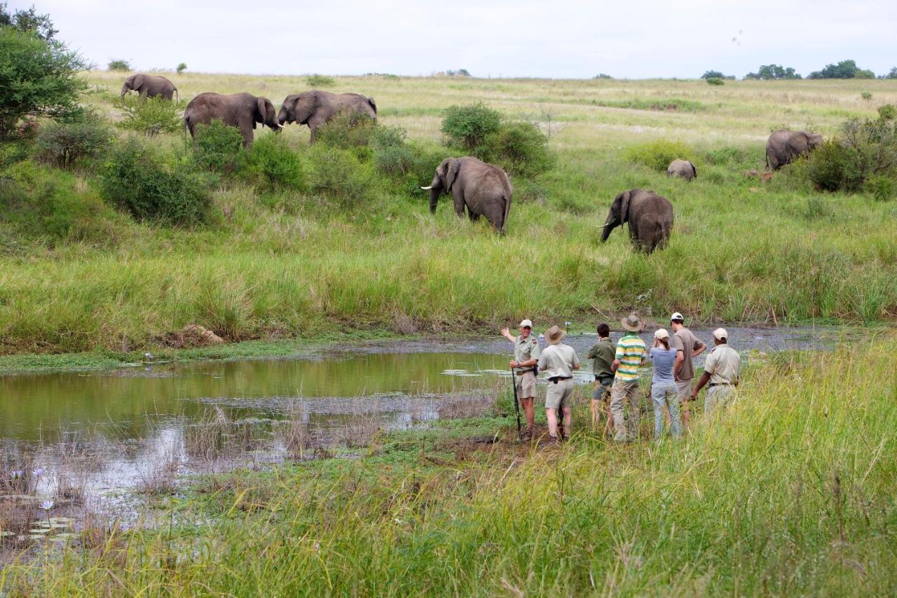 Kapama Southern Camp Kapama Game Reserve Exteriör bild